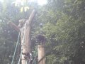 IMGP0875.JPG
